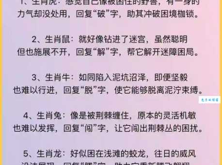 英明果断打一正确生肖谜底大公开！究竟是龙还是虎呢？
