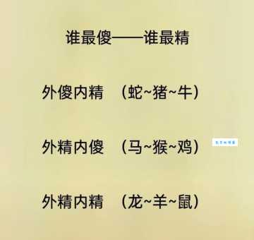一举成名天下闻代表什么生肖？老司机告诉你真正答案