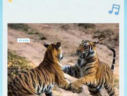 三寸之舌是什么生肖?大家都猜错的生肖答案公布