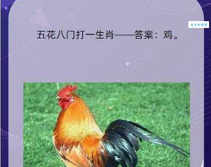 一句话解读生拖死拽是什么生肖？快速找到正确答案！