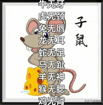 短斤缺两是什么生肖？答案原来是它！