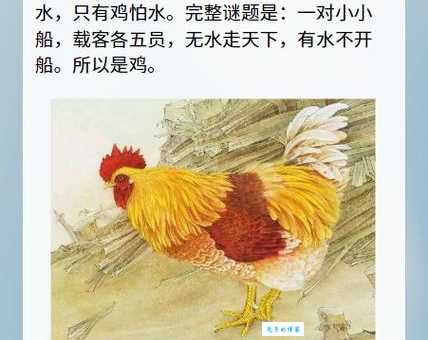 短斤缺两是什么生肖？答案原来是它！