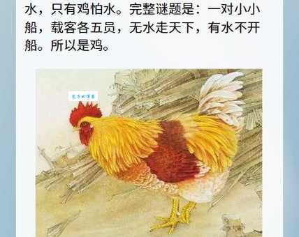 大家都在找风雨一生桥与路是什么生肖？高手进来给个提示