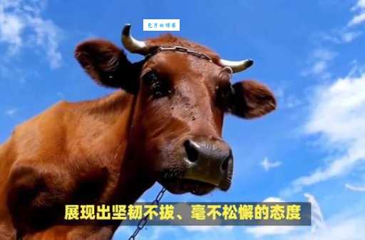 咬紧牙根打一生肖最近很火?看完这篇你就明白了!