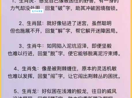 满脸生花是什么生肖？这句俗语背后的生肖含义详解！