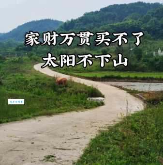 想知道风光无限打一生肖是什么?内行人都这么看!