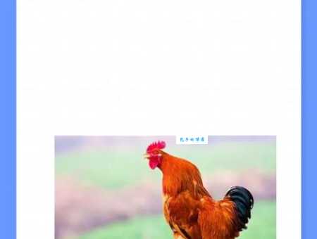 自得其乐是什么生肖？最准确的谜底就在这篇文章里面！