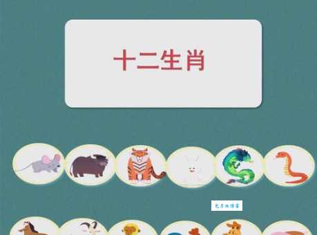活泼爱动的生肖是谁？连蹦带跳是什么生肖快来找！