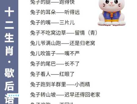 阳光明媚打一个生肖到底是指什么？谜底公布原来这么简单！