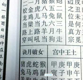 大家都想知道阳春三月是什么生肖？资深专家为你详细解答！