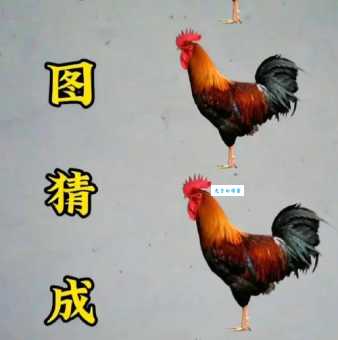 落叶归根打一生肖是哪个？(一个与家和孝道有关的动物)