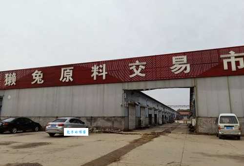 獭兔皮行情会涨价吗？影响因素分析一清二楚！