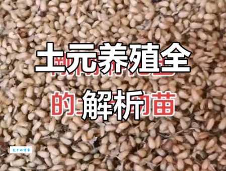 速养的土元养殖技术大全，一看就会简单易学！