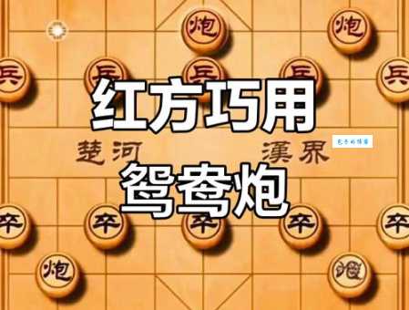 鸳鸯炮弹战术解析，轻松掌握制胜关键！