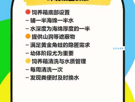 黄金角蛙价格贵不贵？入手前先看这份分析！