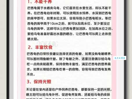 巴西龟冬天怎么养才健康？记住这几个小技巧！