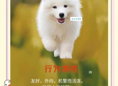 想养爱斯基摩犬价格多少？详细价位大公开！