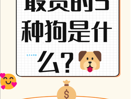 世界上最贵的狗排名更新！这些狗狗让你大开眼界