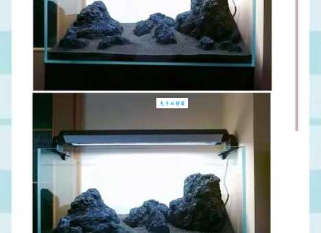 水族箱造景水草老是烂？记住这几点让你的水草绿油油！