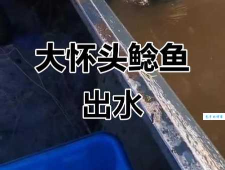 卢旺达的鱼种类丰富，资深渔民分享捕捞秘籍！