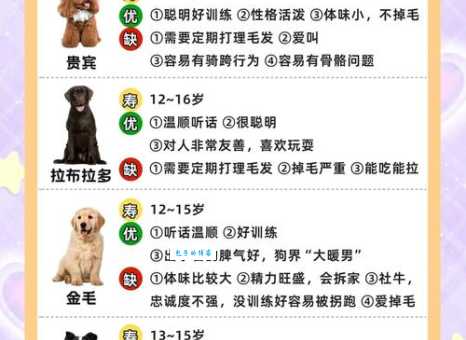 想养什么狗长不大？这些迷你犬是你的最佳选择！