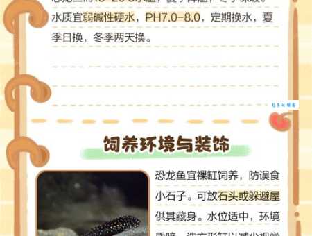 恐龙鱼能长多大？养殖技巧让你提前知道答案！