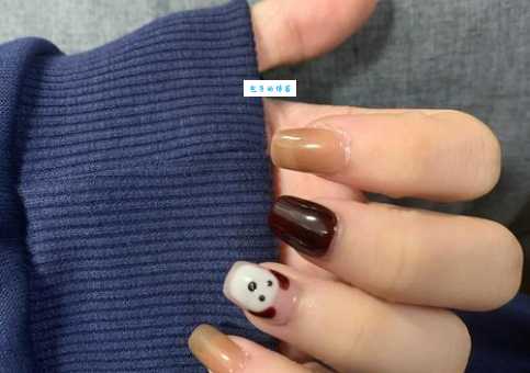 狗指甲套怎么选？挑选实用又安全的款式！