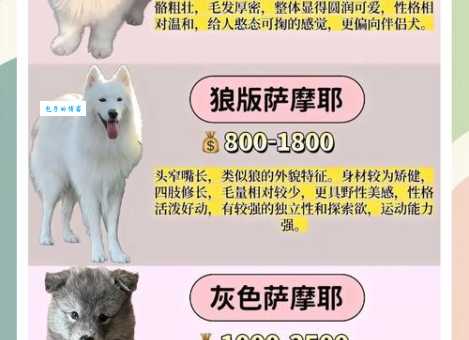 俊介多少钱一只一年?(养狗预算明细告诉你)