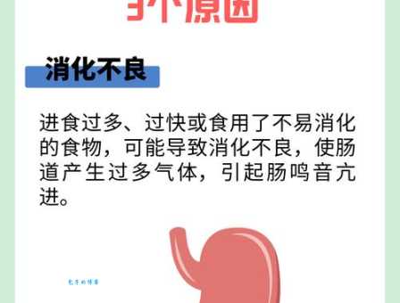 表飞鸣是干什么用的？原来对肠胃这么好！