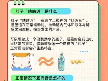 表飞鸣是干什么用的？原来对肠胃这么好！