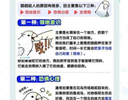 花鹩哥会说话吗？训练花鹩哥开口的秘诀！