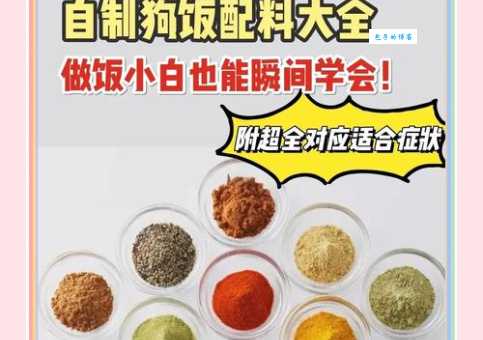 苏格兰牧羊犬吃什么饭？自制狗粮食谱超简单！