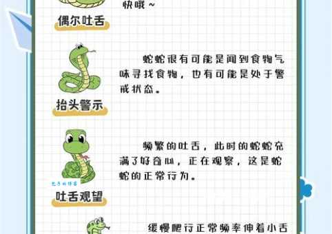 广西大王蛇吃什么?专家分享科学喂养方法!