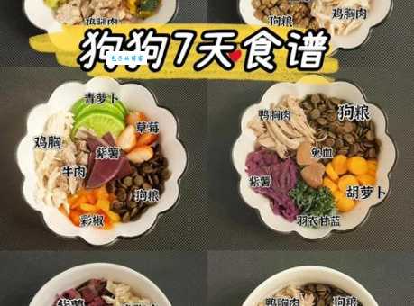 德国牧羊犬幼犬吃什么狗粮？健康成长食谱推荐！