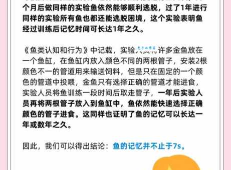 金鱼的记忆到底有多长？看完你就明白了！
