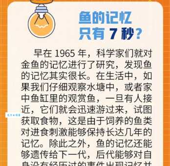 金鱼的记忆到底有多长?看完你就明白了!