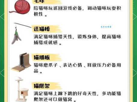 龙猫宠物用品选什么？这份清单帮你轻松购买！