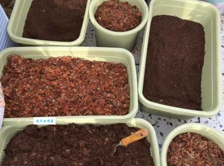 土元养殖怎么做？新手入门快速又简单！