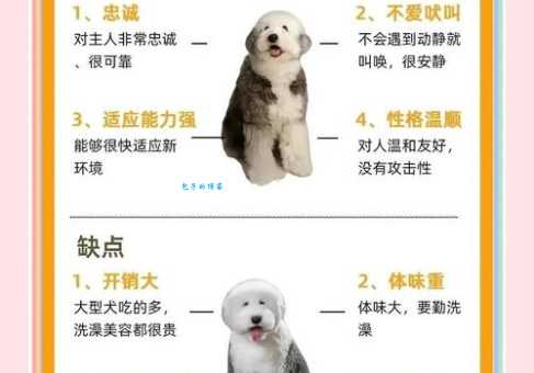 古牧犬掉毛吗?掉毛季如何打理才干净?