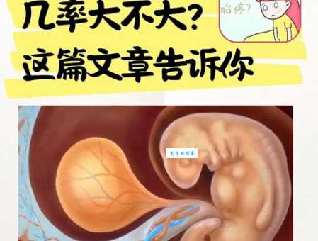 为什么会说到往子宫里产蛇卵？背后原因是什么？