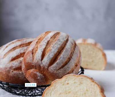 科来特猫价格高吗？哪里能买到纯种科来特猫？