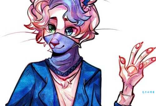 科来特猫价格高吗？哪里能买到纯种科来特猫？