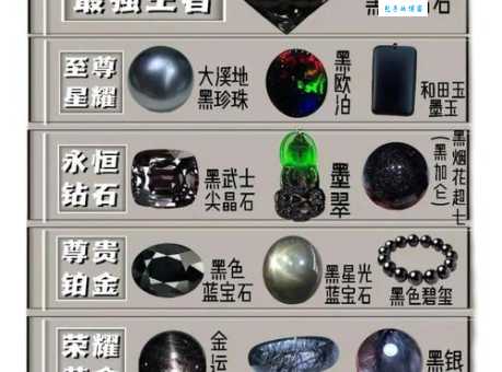 黑帝王魟价格多少钱？购买前必看这些细节！