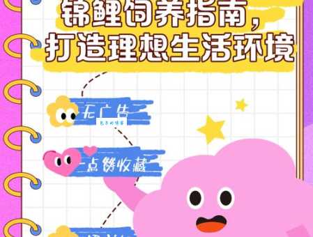 锦鲤的饲养方法新手必看，告别养鱼烦恼！