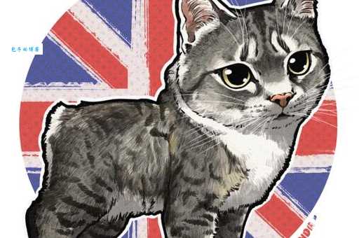 马恩岛猫有哪些特点？无尾猫咪的魅力大解析！