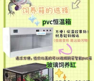 蜥蜴宠物饲养技巧?资深玩家分享独家经验!