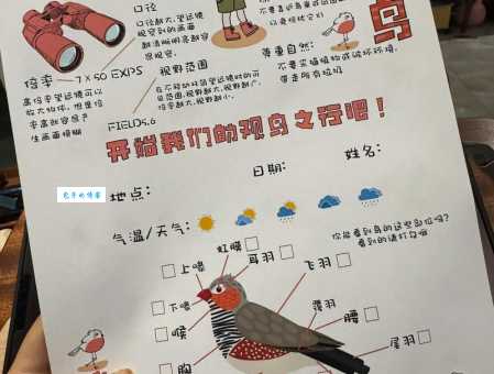 怎么才能看到红翅绿鸠？这份观鸟攻略请收好！