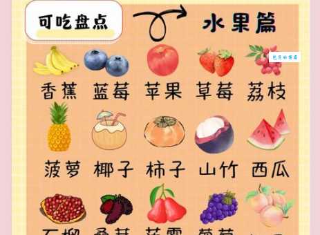 林肯港鹦鹉吃什么？这份食谱让它健康成长！