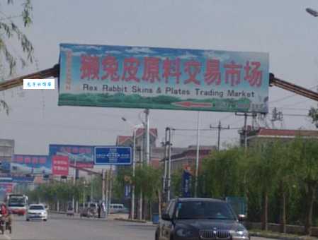 尚村獭兔价格波动大吗？专家教你如何应对！