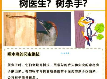 黄嘴栗啄木鸟有什么特点？有趣的习性一次看懂！